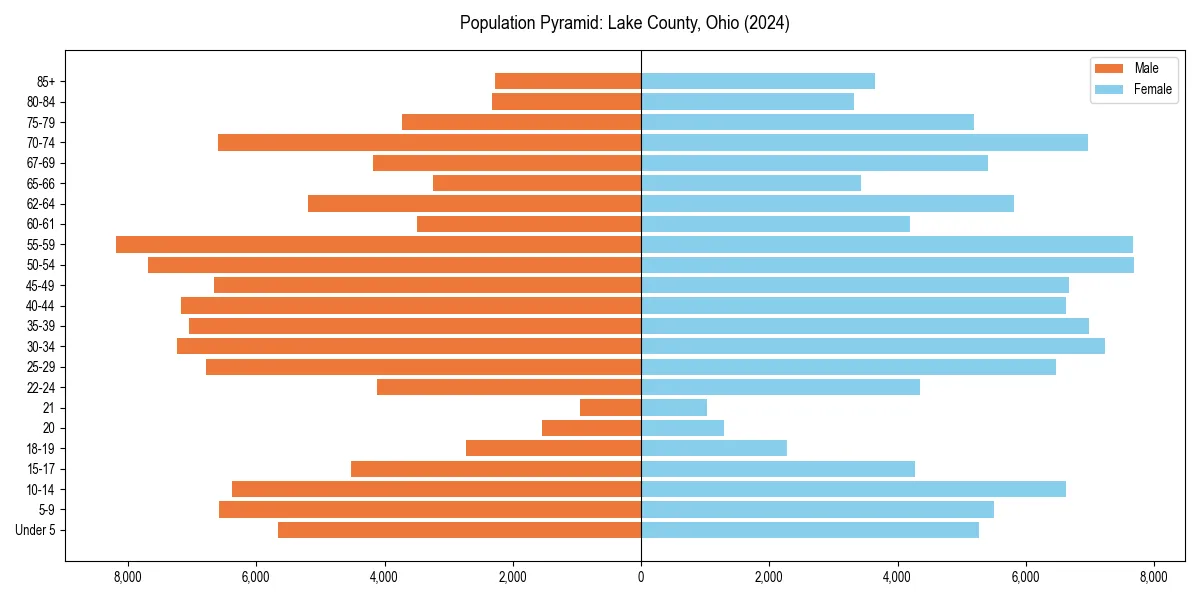 Population pyramid for 