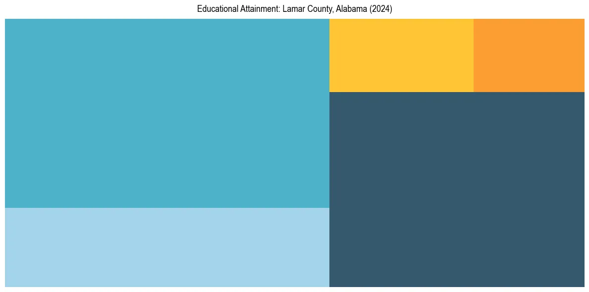 Education Treemap for  in 2024