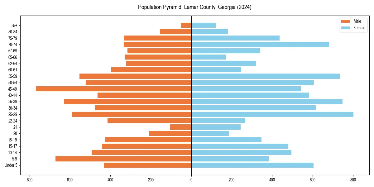 Population pyramid for 