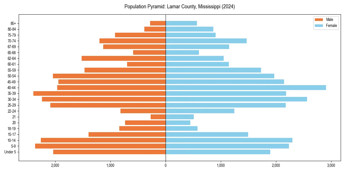 Population pyramid for 