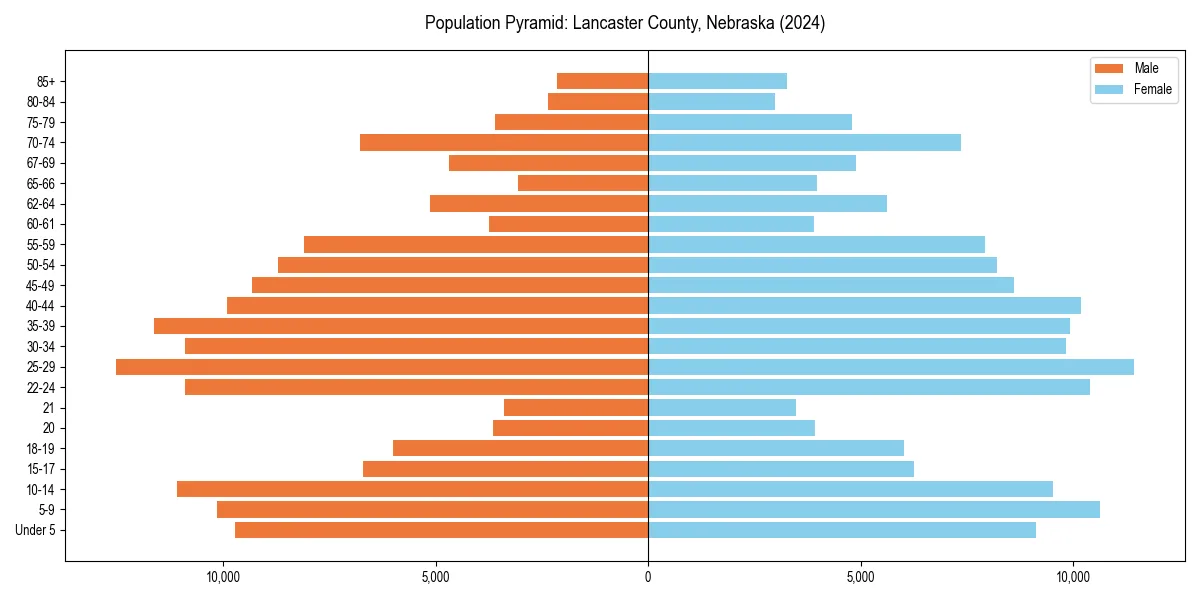 Population pyramid for 