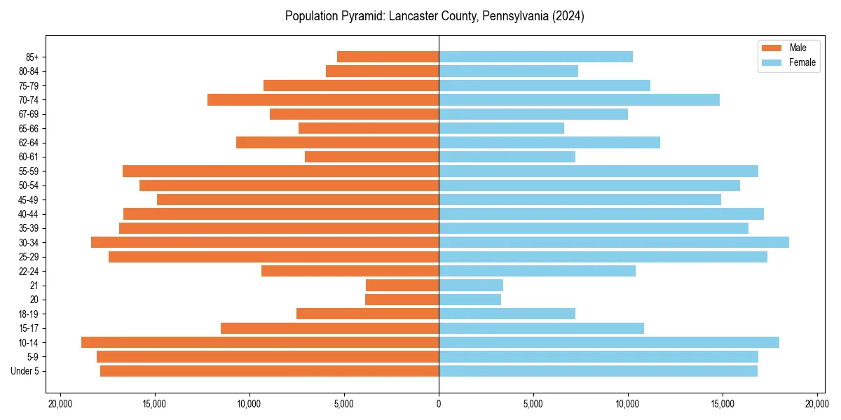 Population pyramid for 