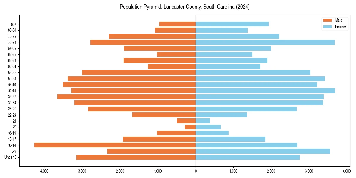 Population pyramid for 