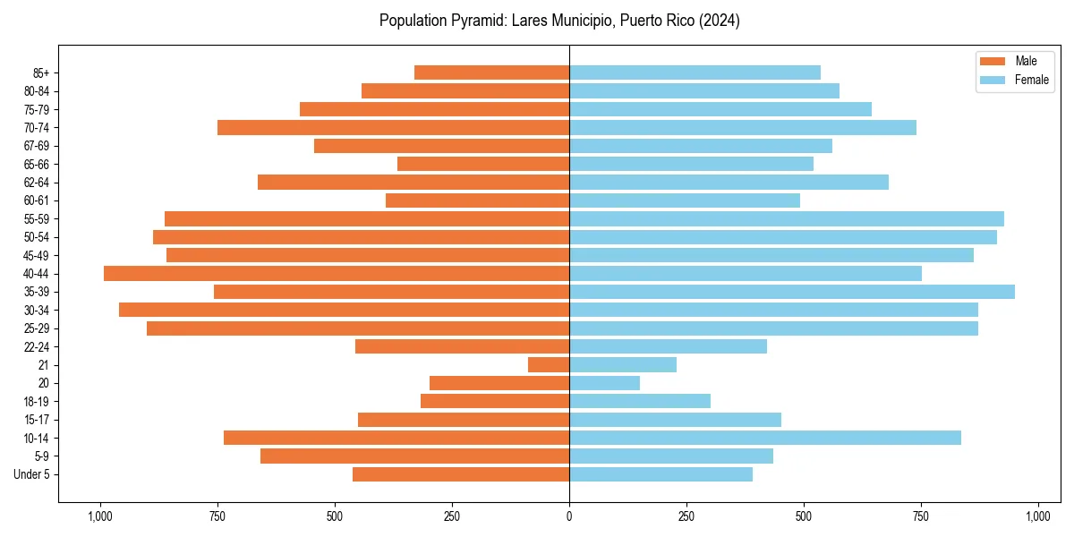 Population pyramid for 