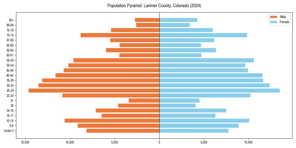 Population pyramid for 