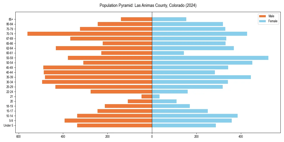 Population pyramid for 