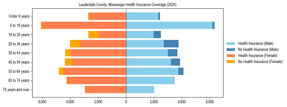 Health insurance pyramid for Lauderdale County, Mississippi