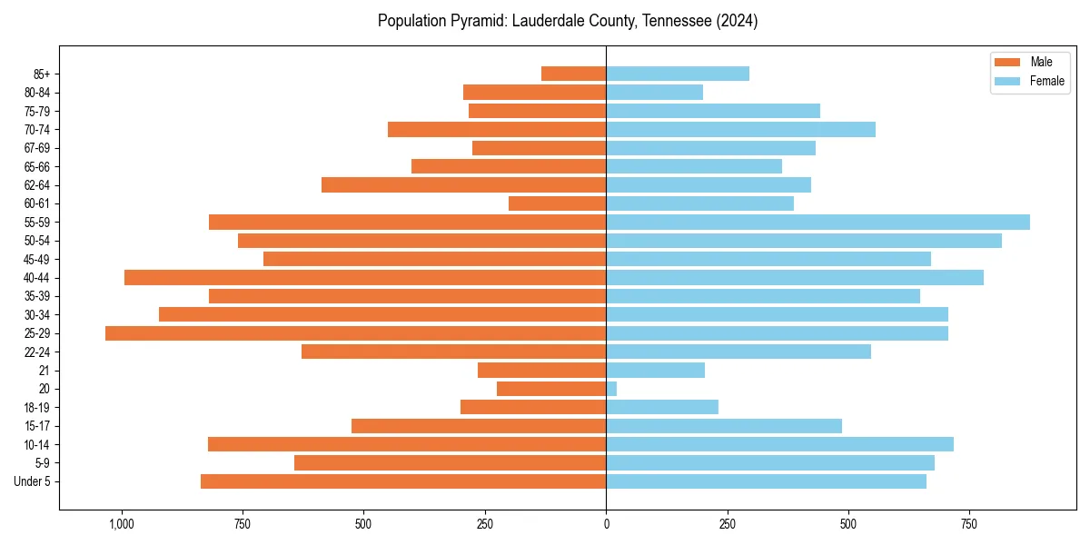 Population pyramid for 