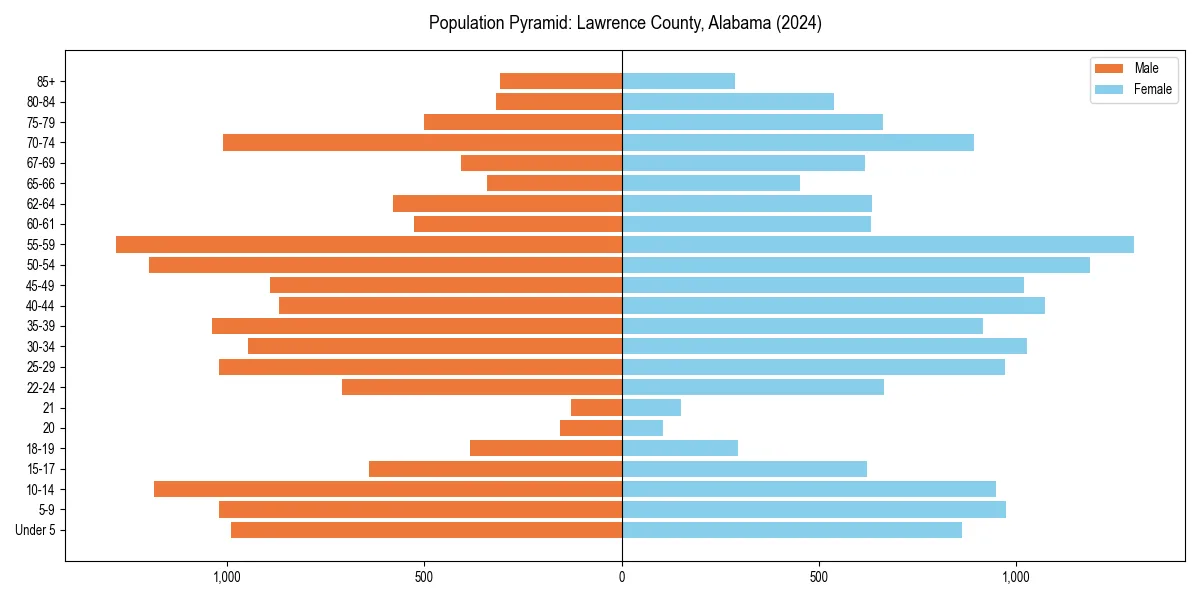Population pyramid for 