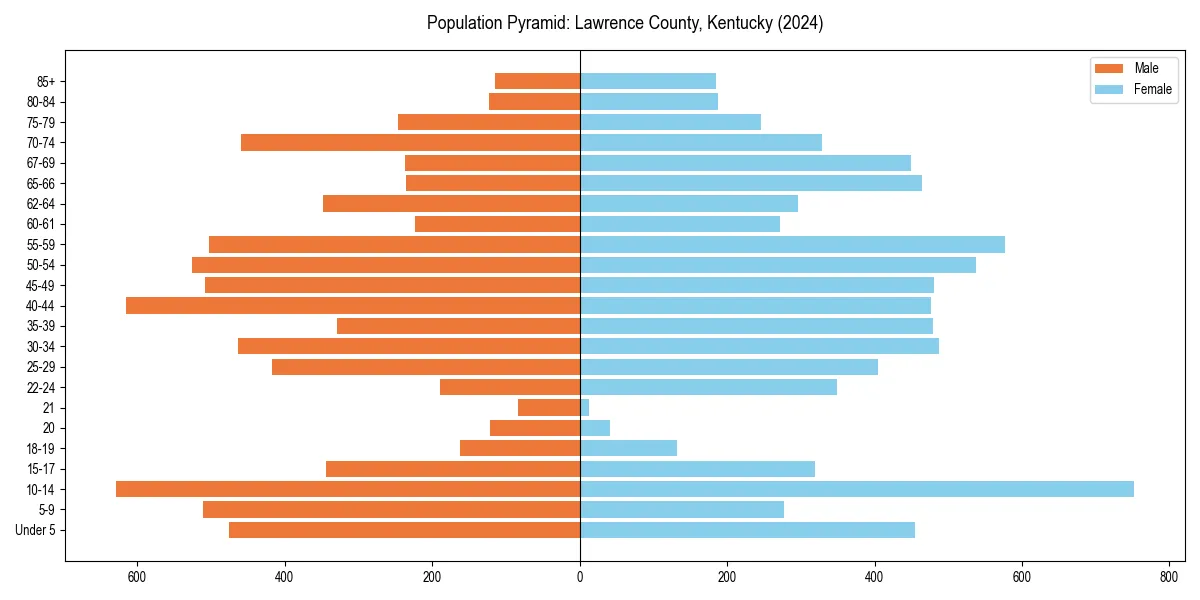 Population pyramid for 
