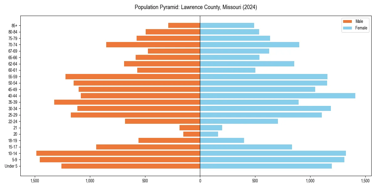 Population pyramid for 