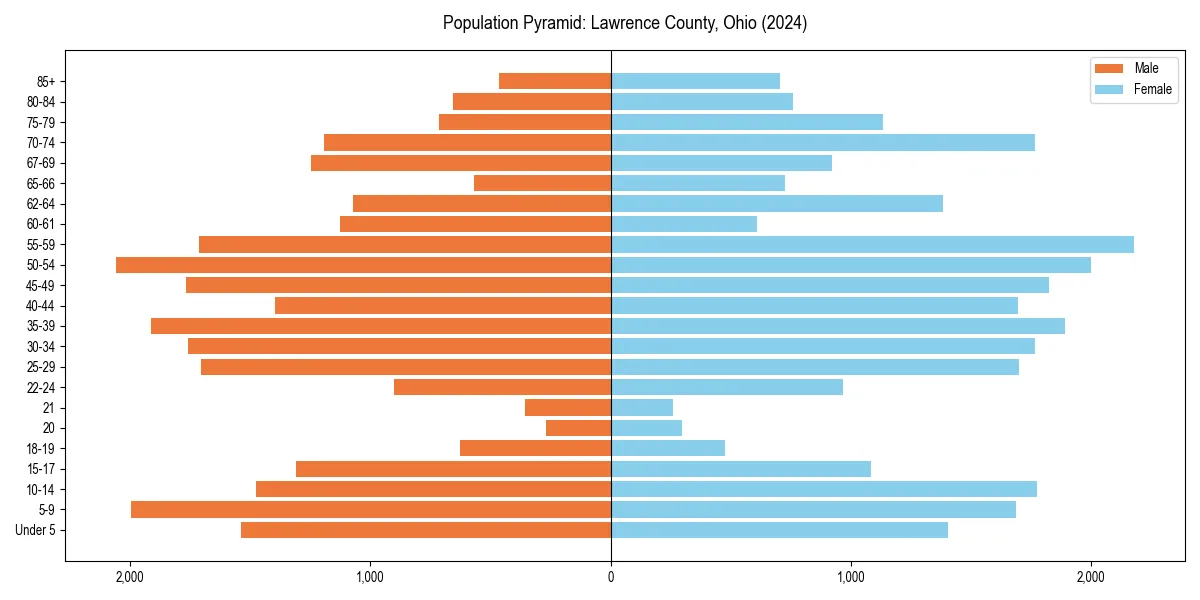Population pyramid for 