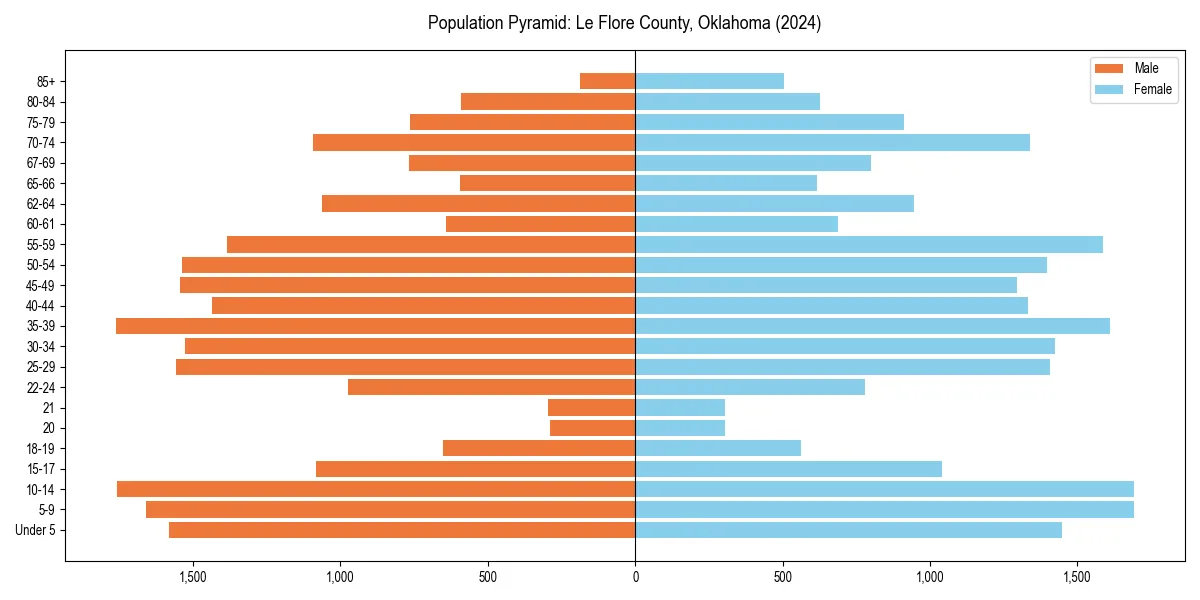 Population pyramid for 