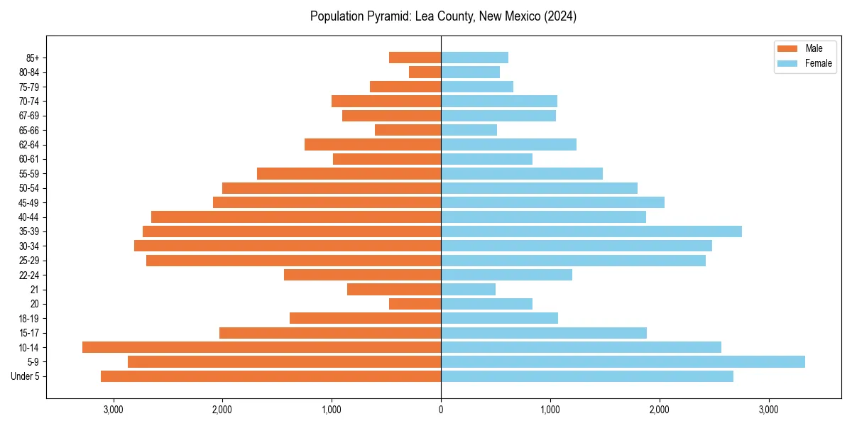 Population pyramid for 
