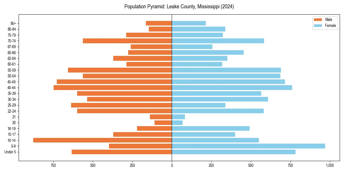 Population pyramid for 