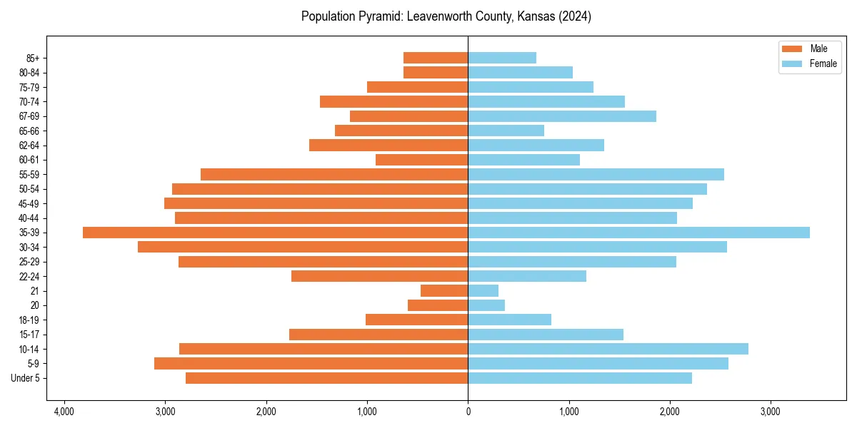 Population pyramid for 