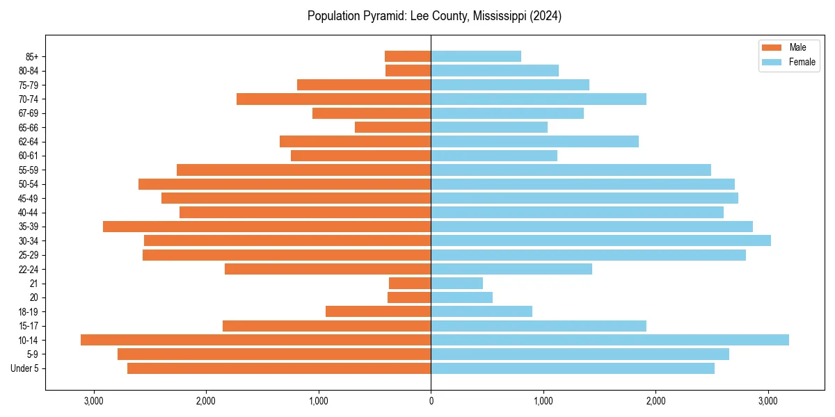 Population pyramid for 