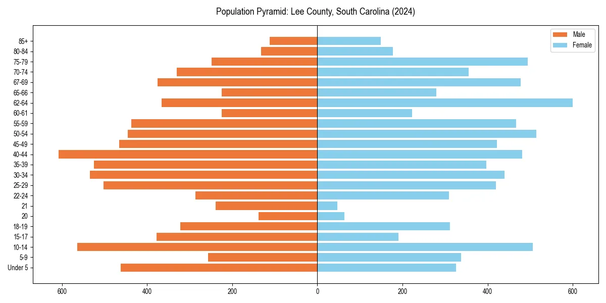 Population pyramid for 