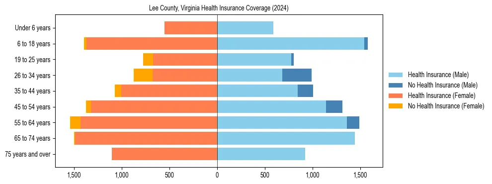 Health insurance pyramid for Lee County, Virginia
