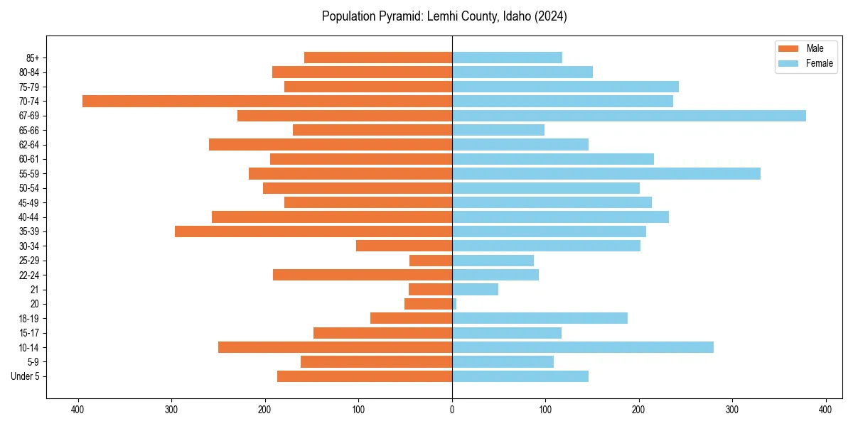 Population pyramid for 