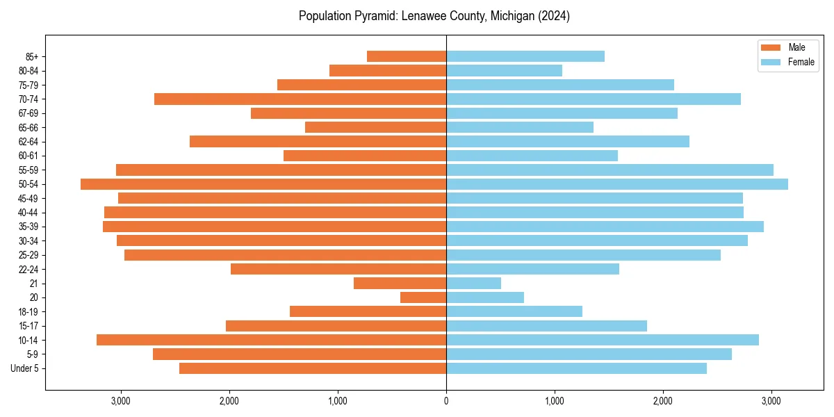Population pyramid for 