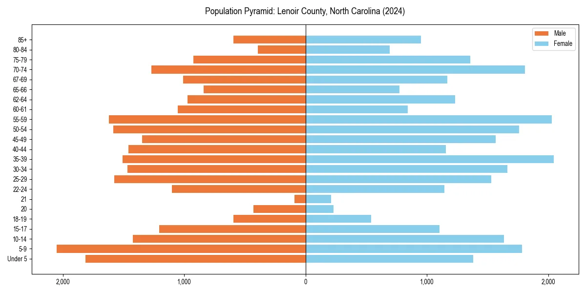 Population pyramid for 