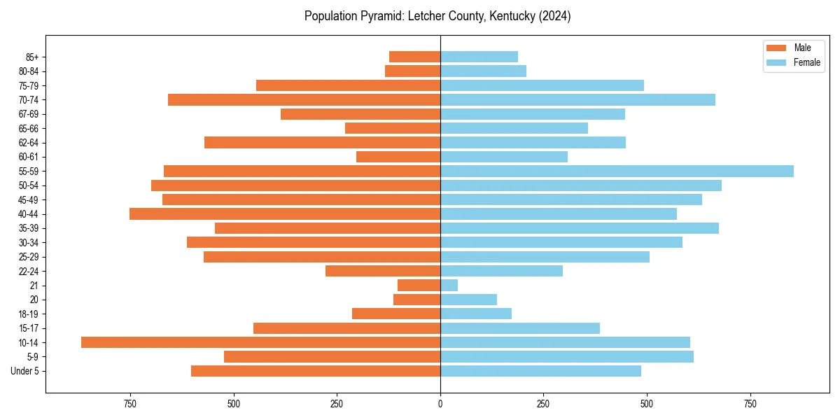 Population pyramid for 