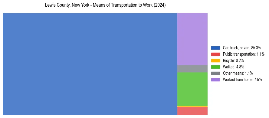Commute modes in Lewis County, New York
