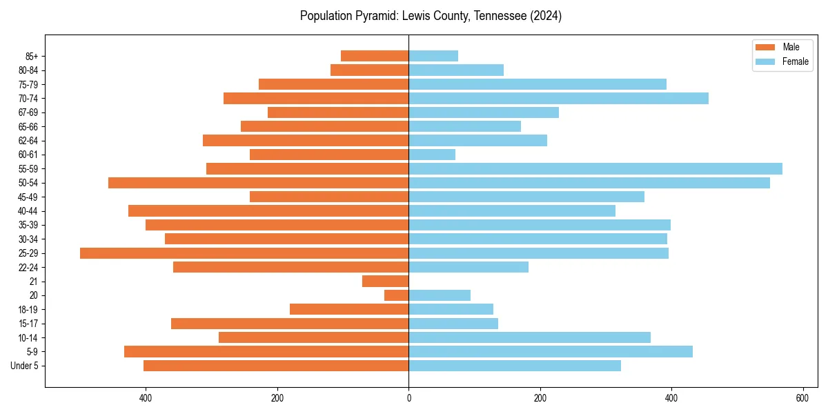 Population pyramid for 