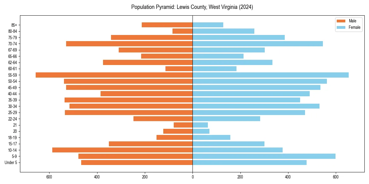 Population pyramid for 