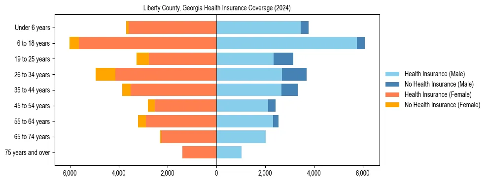 Health insurance pyramid for Liberty County, Georgia