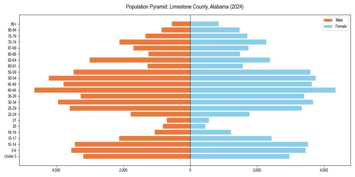 Population pyramid for 