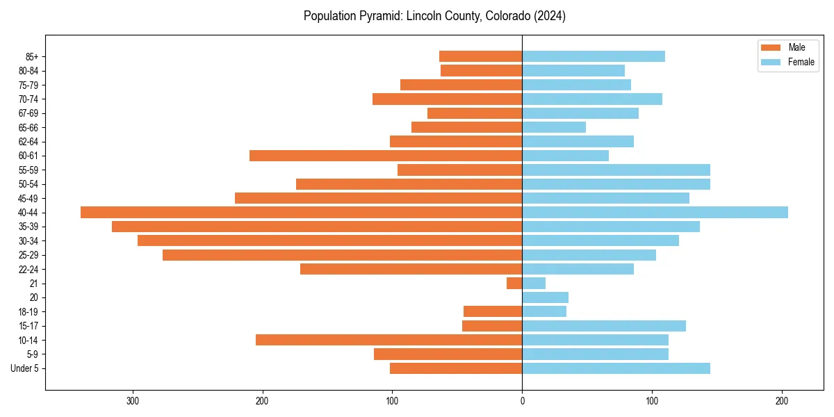 Population pyramid for 