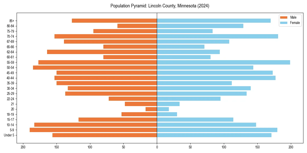 Population pyramid for 