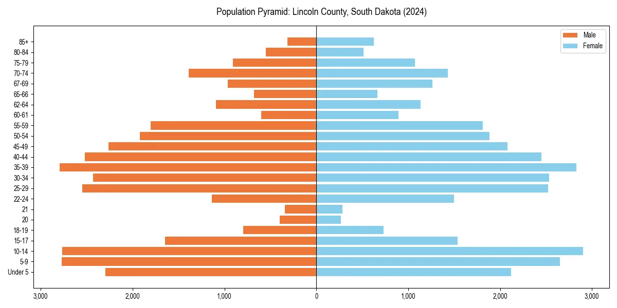 Population pyramid for 