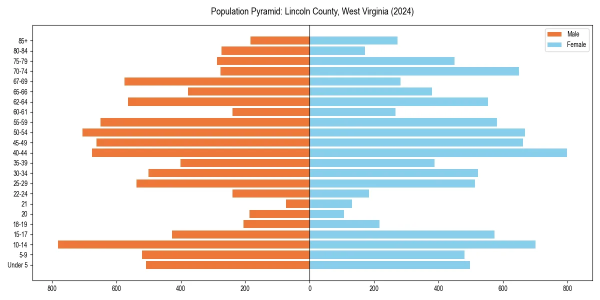 Population pyramid for 