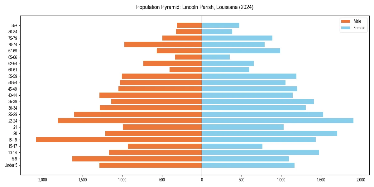 Population pyramid for 