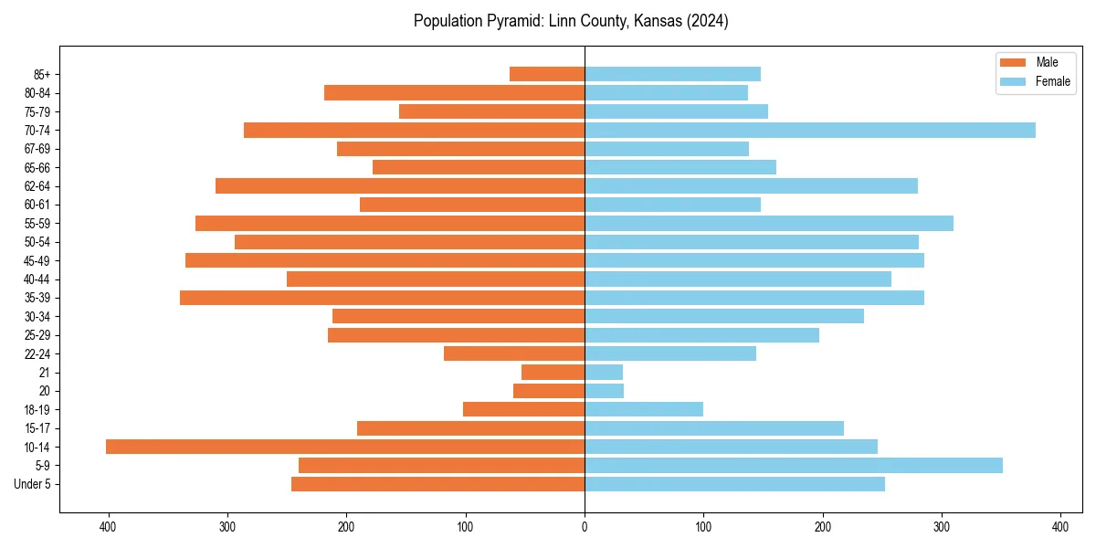Population pyramid for 