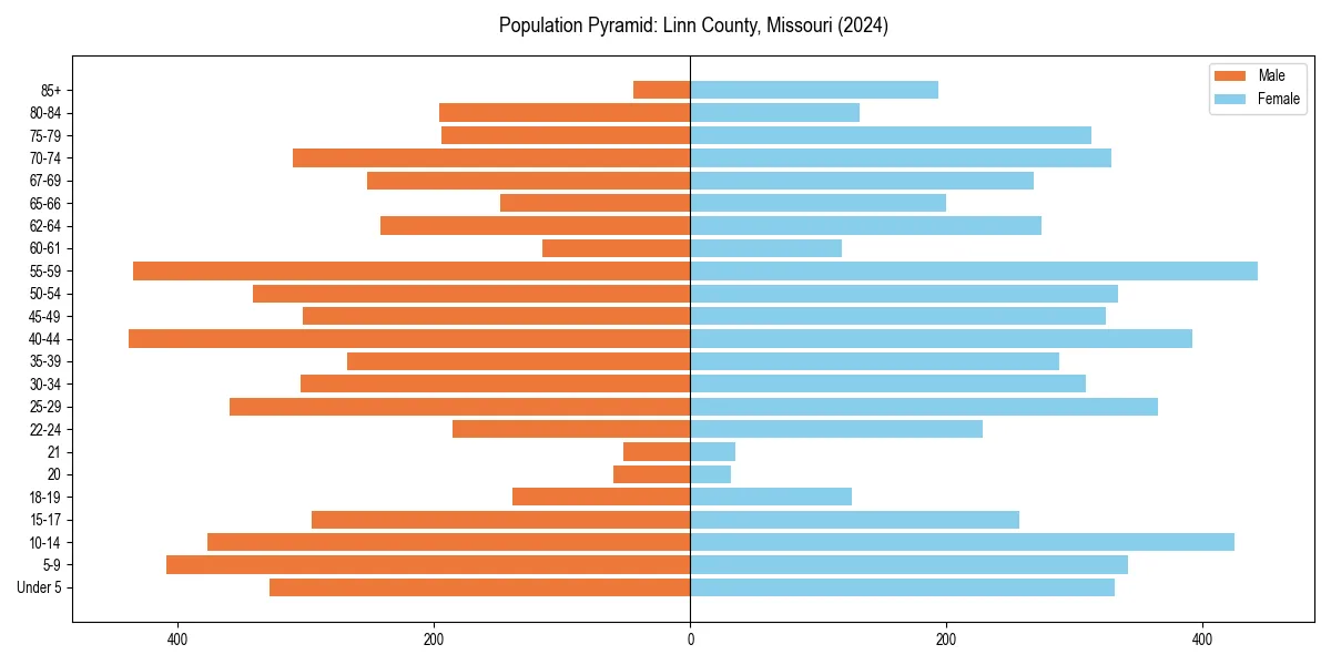 Population pyramid for 