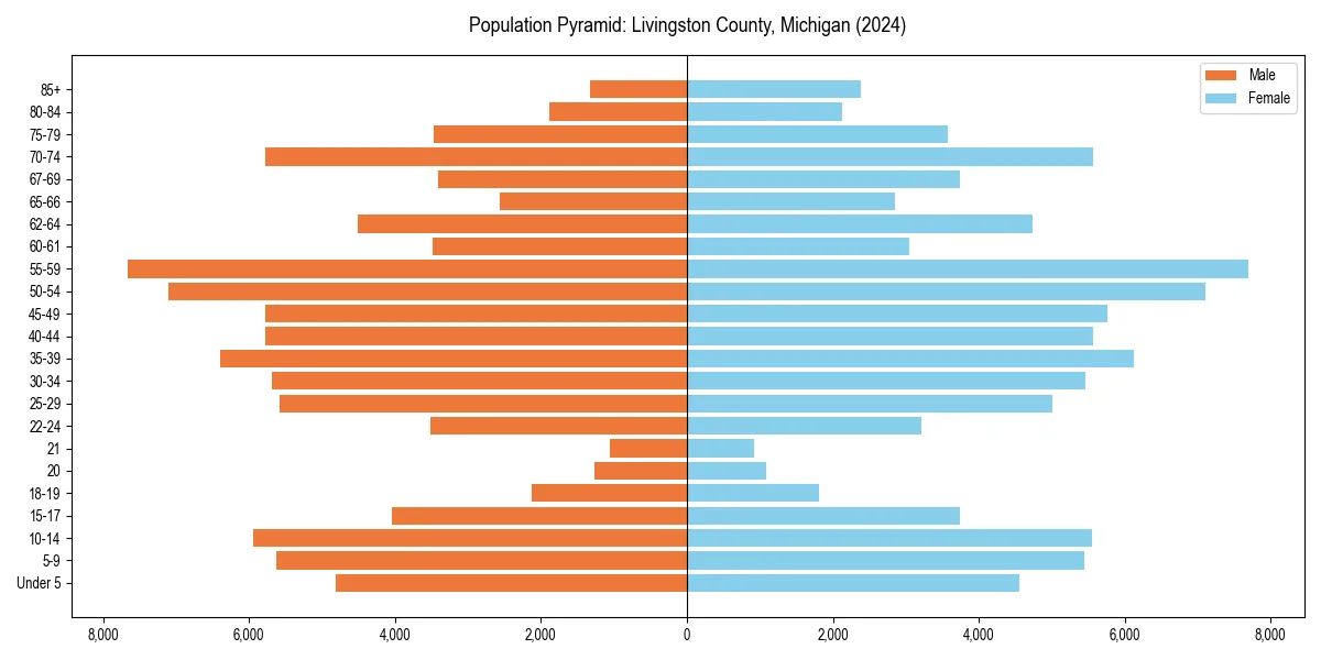 Population pyramid for 