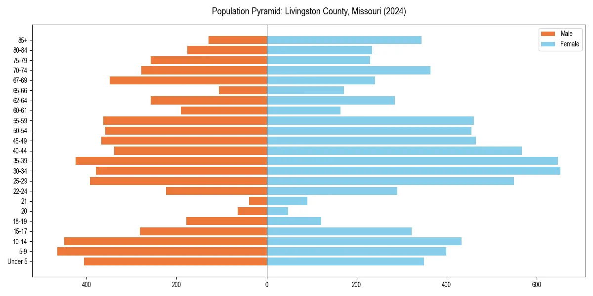 Population pyramid for 