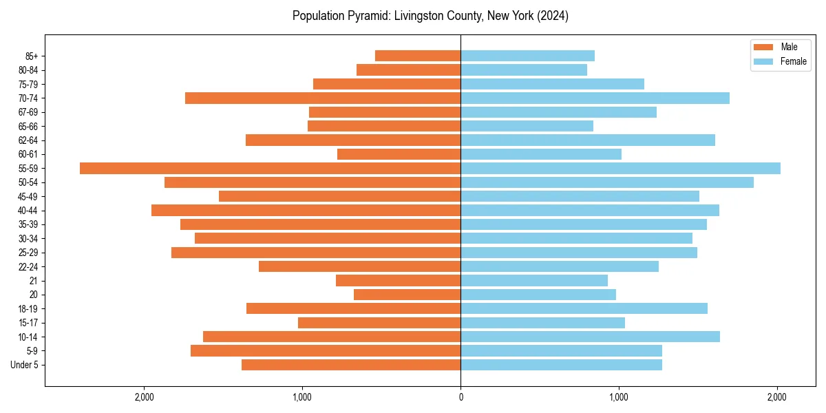 Population pyramid for 