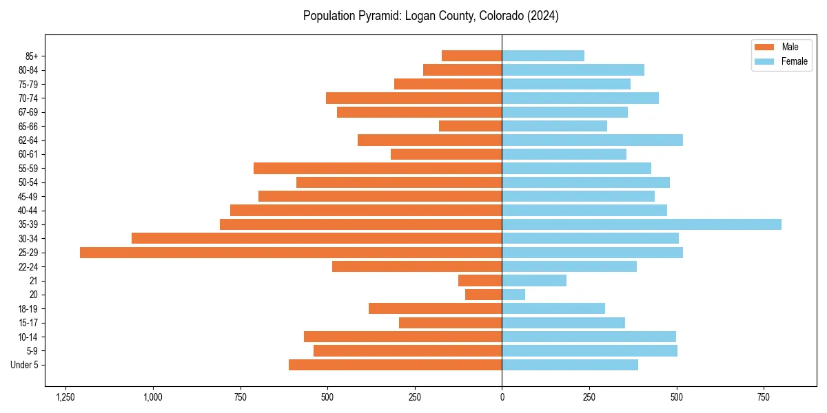 Population pyramid for 