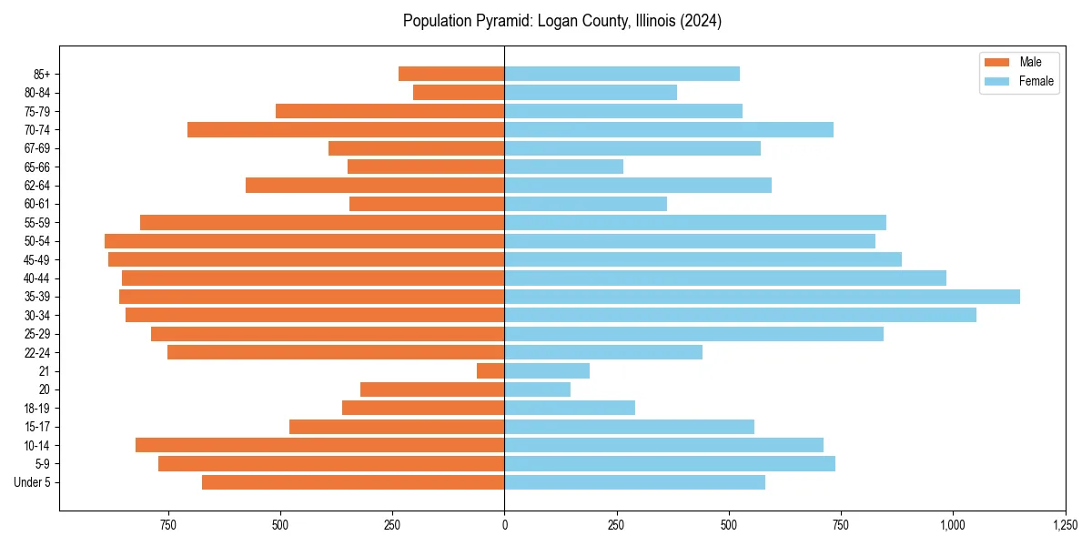 Population pyramid for 