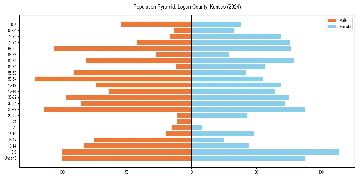 Population pyramid for 