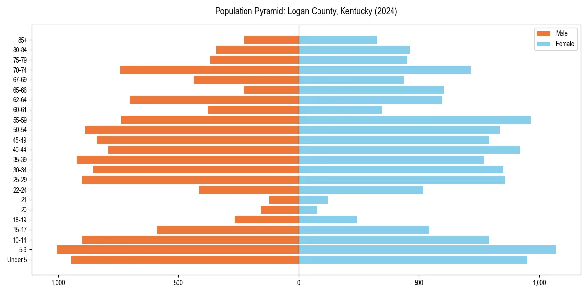 Population pyramid for 