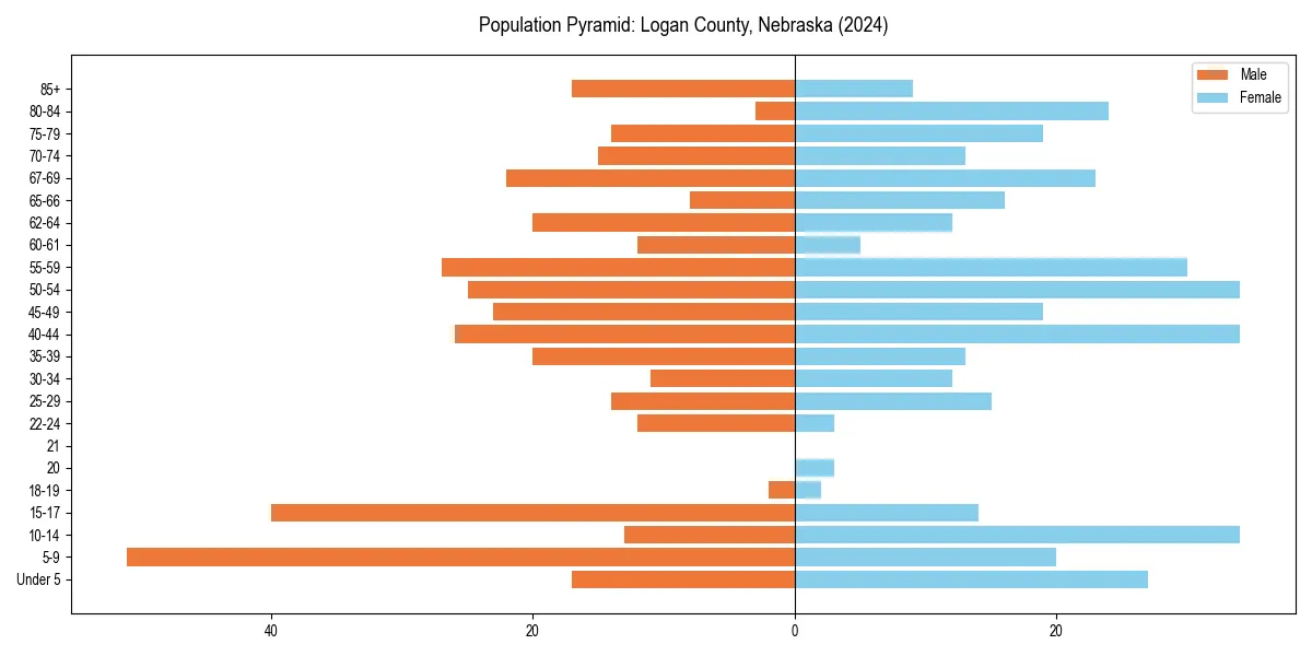 Population pyramid for 