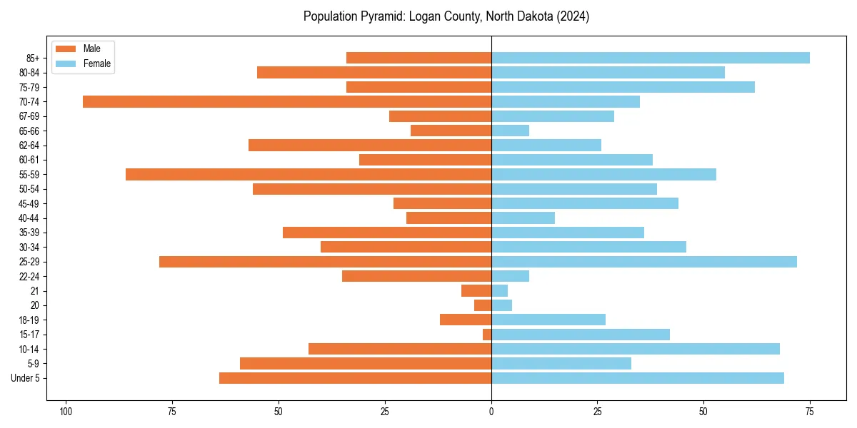 Population pyramid for 