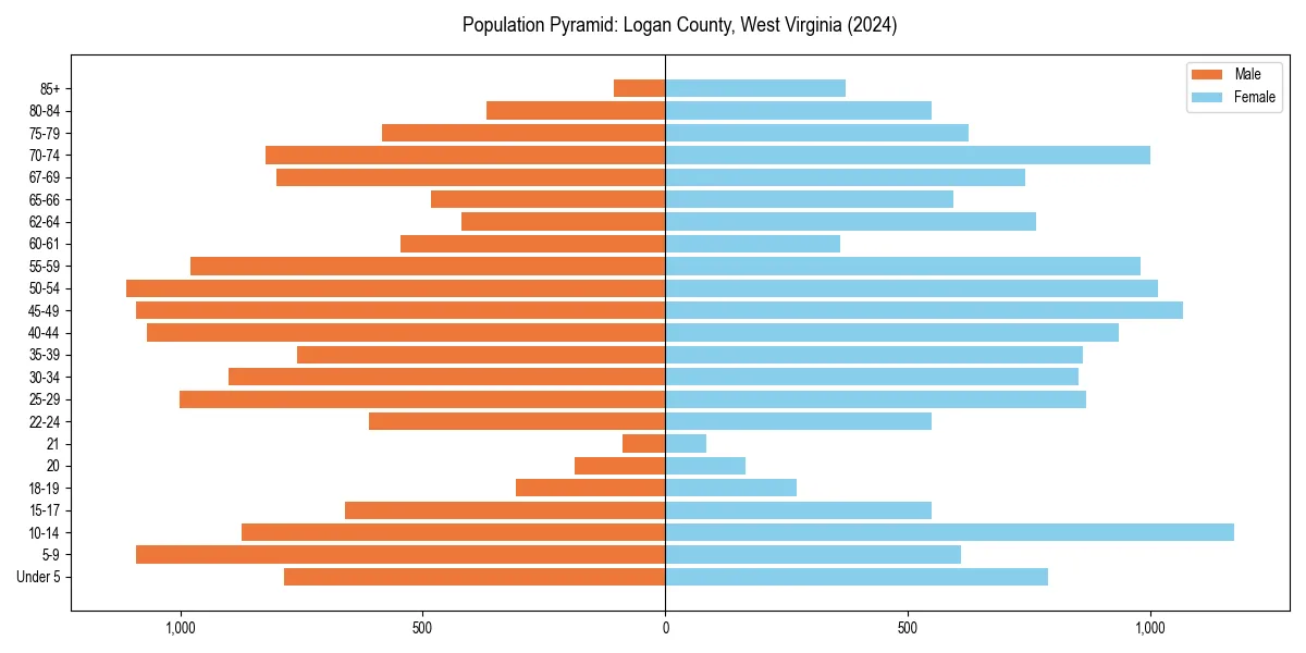 Population pyramid for 