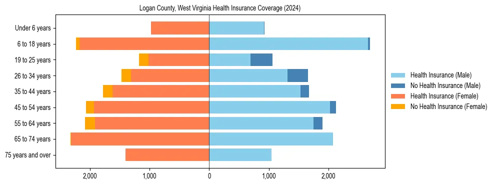 Health insurance pyramid for Logan County, West Virginia